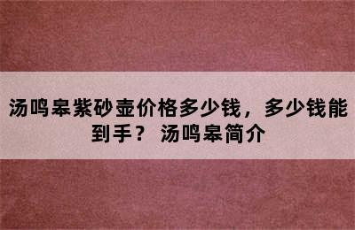 汤鸣皋紫砂壶价格多少钱，多少钱能到手？ 汤鸣皋简介